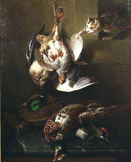 Francois Desportes A Cat Attacking Dead Game china oil painting image